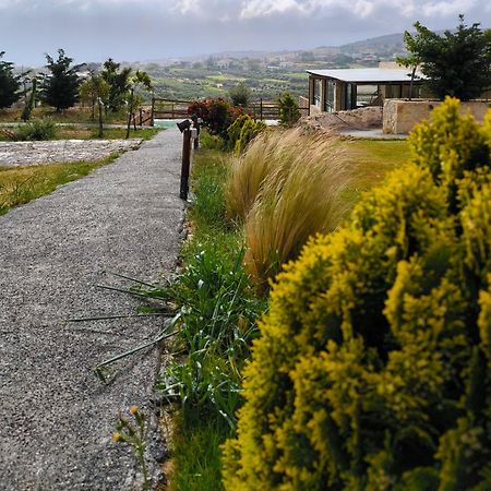 Alagni Cretan Resort Exterior photo